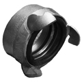 Rotta female with thread