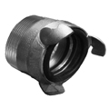 Rotta male with thread